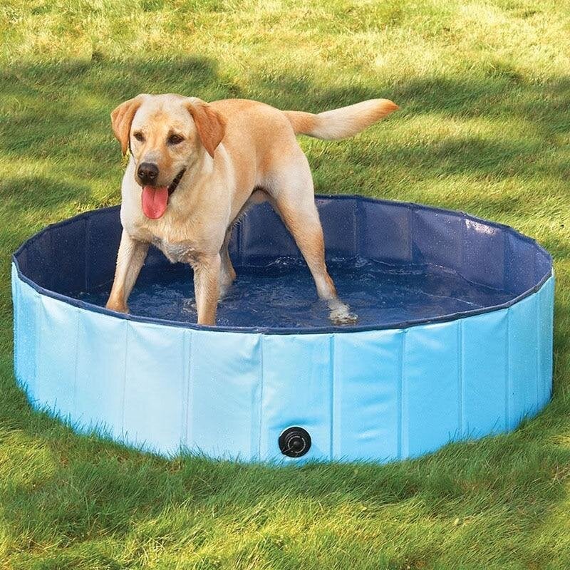 Foldable Pet Swimming Pool - premium - Trendyvice worldwide