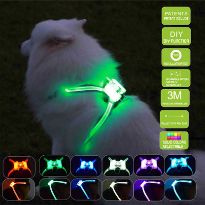 LED USB Rechargeable Silicone Dog Collar - premium - Trendyvice worldwide